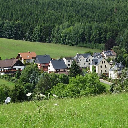 Oelsnitz  Ferienwohnung "Am Vaterlandsgrubenweg" מראה חיצוני תמונה