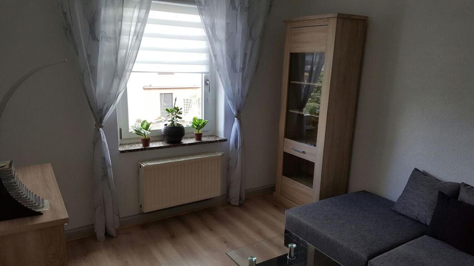 Oelsnitz  Ferienwohnung "Am Vaterlandsgrubenweg" מראה חיצוני תמונה