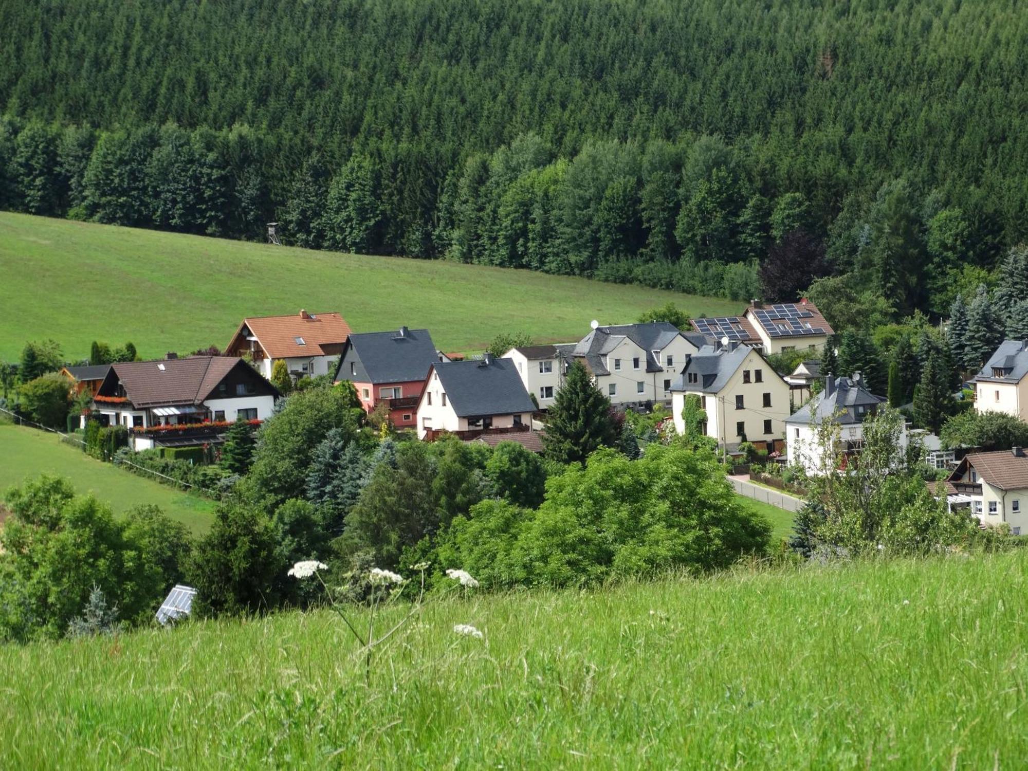 Oelsnitz  Ferienwohnung "Am Vaterlandsgrubenweg" מראה חיצוני תמונה